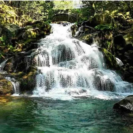 Alola Semesterbostad