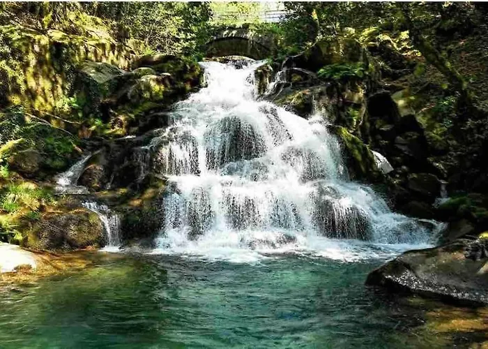 Alola Дом отдыха